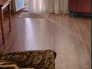 Продам  1 комнатную квартиру  в чешке , рядом центр.