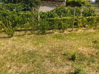 Предлагается к продаже участок под строительство жилого дома в ...