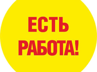 Компании требуется менеджер по продажам бакалейной продукции.