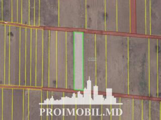 Spre vânzare se oferă teren pentru construcții, situat în Băcioi, ...