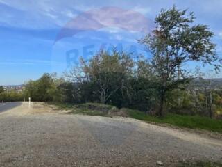 De vanzare teren 12 ari, orasul Hincesti