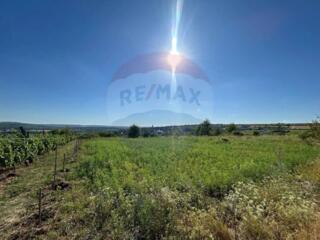 Teren de vânzare 10 ari Sângera (Floreni)