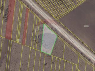 Teren agricol 30 ari Tohatin, Mun. Chișinău