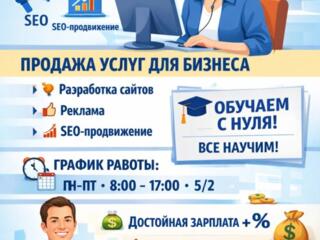 Оператор колл-центра (продажи B2B)