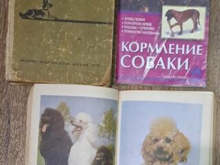 Пудель уход. Служебное собаководство Йоркширский терьер