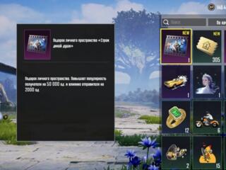 Продам пп в пабг 50000, 60 рублей