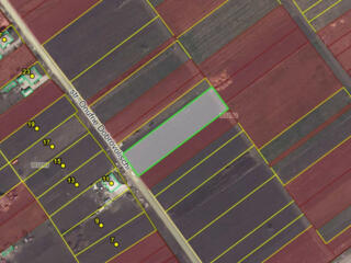 Teren construcție, Maximovca