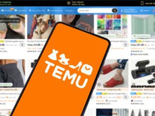 Не хотите стоять в очередях? Закажем за вас с TEMU