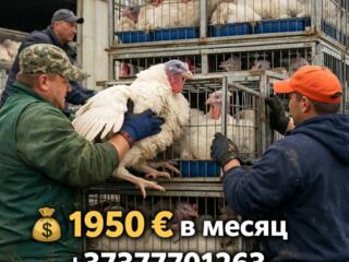 Стабильная работа