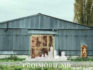Se vinde spațiu comercial, preconizat pentru depozit, r.Anenii Noi, ..