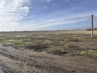 В продаже участок в Дачненском сельсовете. Площадь участка 1,4 га. ...