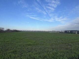 В продаже участок в Дачненском сельсовете. Площадь участка 2,58 га. ..