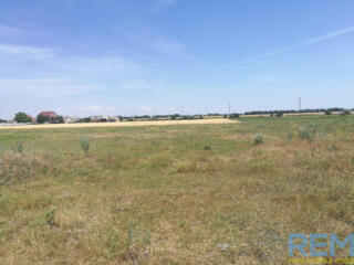 ТВ-3 Продам два смежных участока рядом с Грибовкой