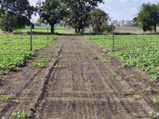 Продам участок  7 соток в Фонтанке, под застройку