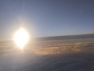 Ищу работу.