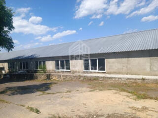 Depozit  în cea mai bună locație pentru logistică -  Botanica, str. ..