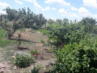 Продам земельный участок, 25 соток. В Большом Дальнике