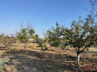 Прямоугольный участок 8 соток с. Нерубайское