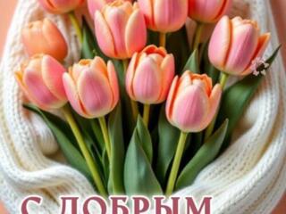 Ищу работу сиделкой