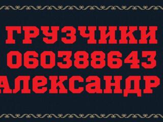 Грузчики, Грузоперевозки