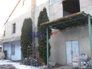 Сороки, Индепенденцей 75/4