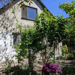 Продам дом на ул Неделина, Чубаевка / Фонтан