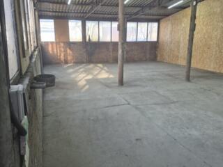 Производственное помещение / Склад 137 м²| Мунчештское шоссе| 450€