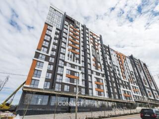 str. Ialoveni, Telecentru, Chisinau