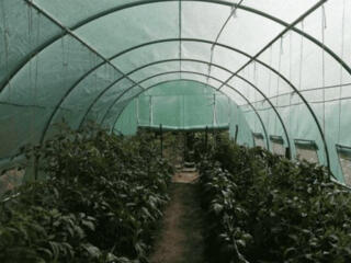 Теплицы В НАЛИЧИИ!!!