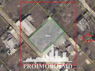 Spre vânzare se oferă teren pomicol, sect. Ciocana.Suprafața totală 6 