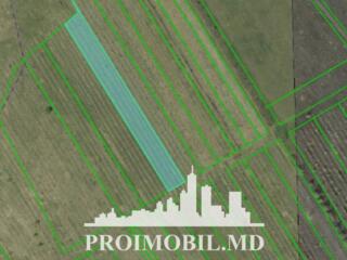Spre vânzare se oferă teren agricol, situat în com. Budești. ...