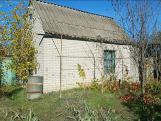 Предлагается к продаже дом дачного типа в селе Дачное, Беляевский ...