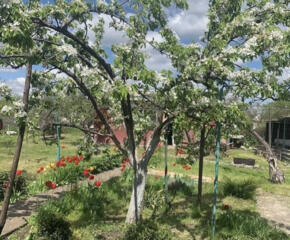 В продаже участок 6 соток, расположенный в очень хорошем месте ...