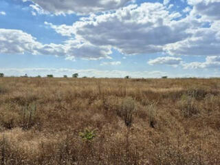 В продаже земельный участок правильной формы в Сухом Лимане. 8,15 ...