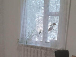 Трехкомнатная чешка. Второй ряд домов.