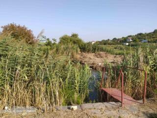 Предлагается к продаже частный дом с готовым бизнесом (действующим ...