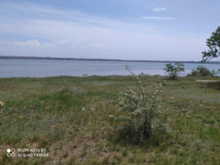 Предлагается к продаже земельный участок в кооп. Витамин