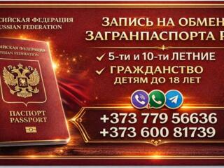 Регистрация и ведение электронной очереди на паспорта РФ. Елена.