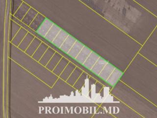 Spre vânzare se oferă teren agricol, situat în Sângera. ...