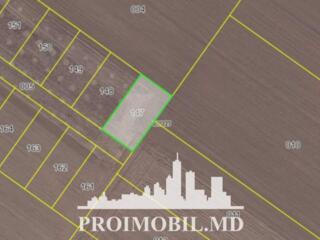 Spre vânzare se oferă teren agricol, situat în Sângera. ...