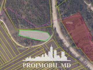 S pre vânzare se oferă teren cu destinație agricolă, situat în ...