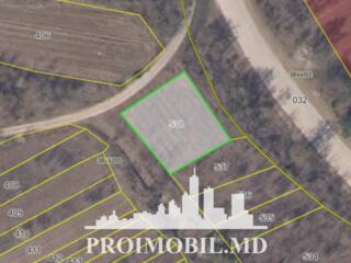 S pre vânzare se oferă teren cu destinație agricolă, situat în ...