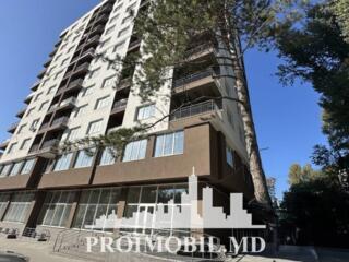 Se vinde spațiu comercial, amplasat la demisolul unui bloc nou, ...