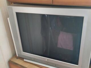 Телевизор LG CT-25Q45VE