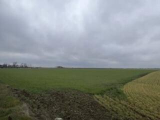 В продаже большой участок 2,135 га, расположенный недалеко от ...