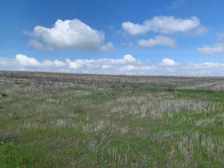 Предлагается к продаже участок в Новой Дофиновке. Площадь 8 соток без 