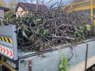 Evacuarea gunoiului dupa reparatie