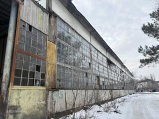 Spre chirie depozit amplasat pe str. Haltei, sec. Ciocana Facilități: 