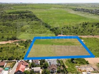 Vânzare, teren agricol, 63.6 ari, Ialoveni