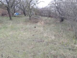 Предлагается к продаж участок 6 соток в дачном кооперативе ...